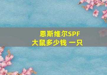 恩斯维尔SPF 大鼠多少钱 一只